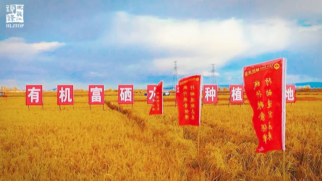 微信圖片_20211027182321.jpg